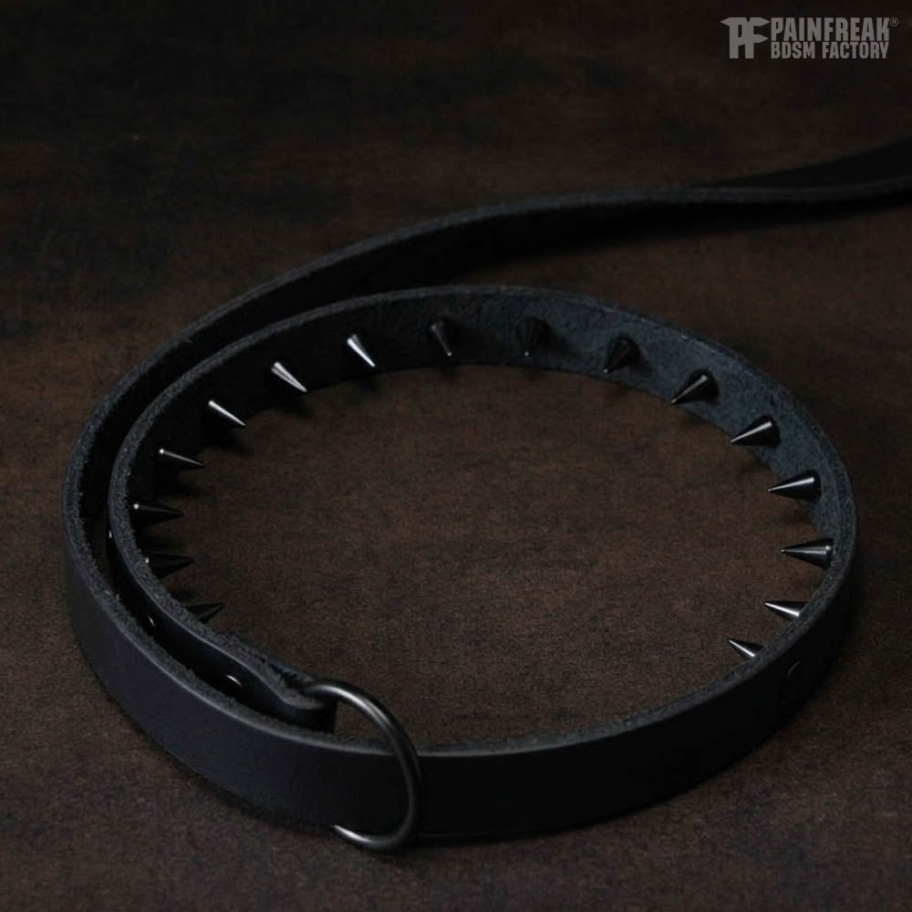 Der Menschenzähmer - Leine / Halsband mit inversen Spikes