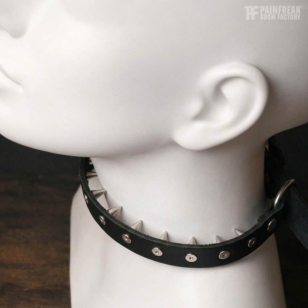 Der Menschenzähmer - Leine / Halsband mit inversen Spikes