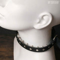 Der Menschenzähmer - Leine / Halsband mit inversen Spikes