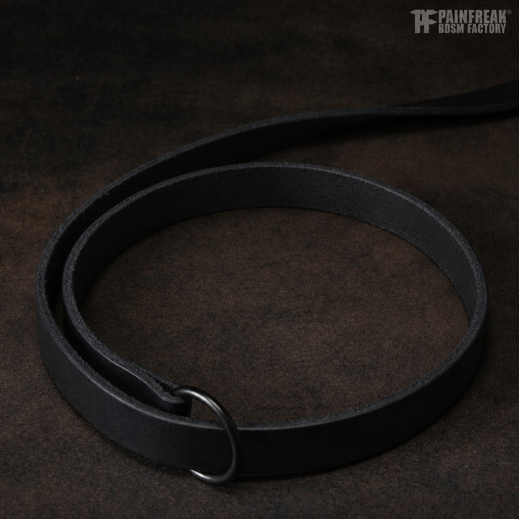 Der Menschenzähmer - Leine / Halsband mit inversen Spikes