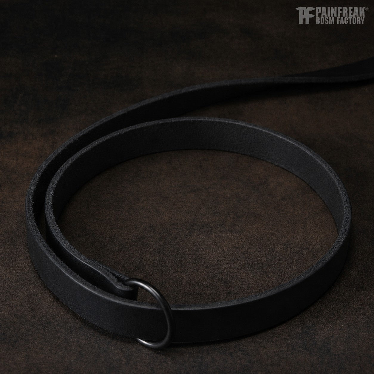 Der Menschenzähmer - Leine / Halsband mit inversen Spikes