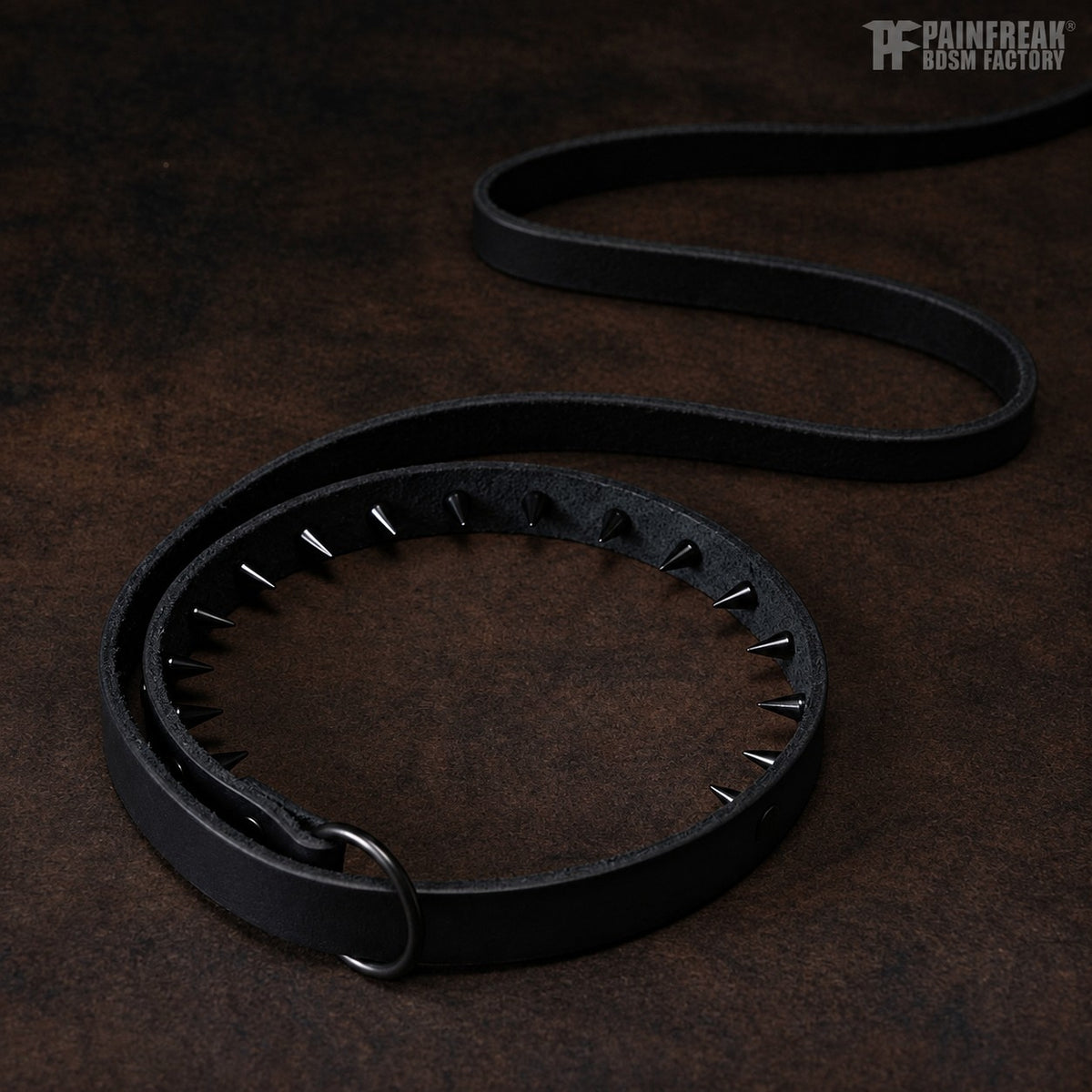 The Man Tamer - Leash / Collar with Inverted Spikes